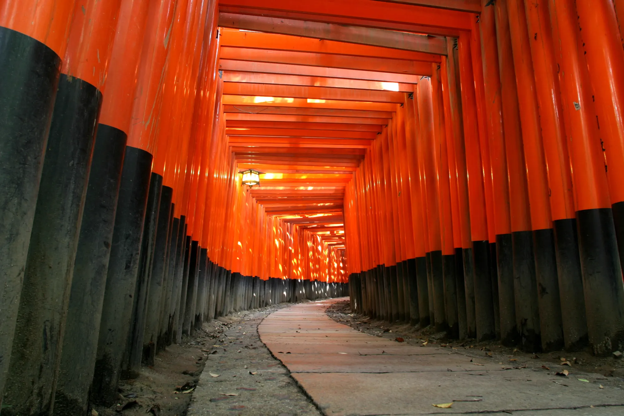Japan — Tokyo · Mount Fuji · Kyoto · Osaka